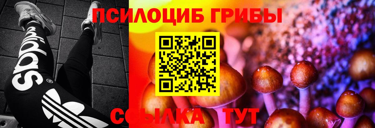 Псилоцибиновые грибы Psilocybine cubensis Тара