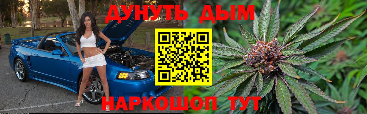 Тара  Канабис конопля  Бошки Шишки AK-47  Вход с VPN 